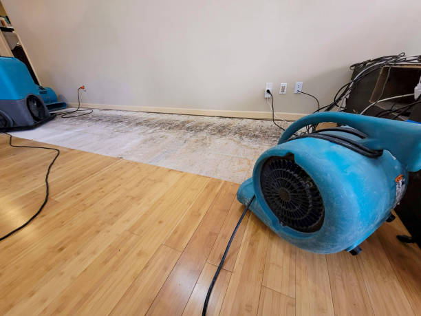Professional Water Damage Repair technician working in Chesterville, OH